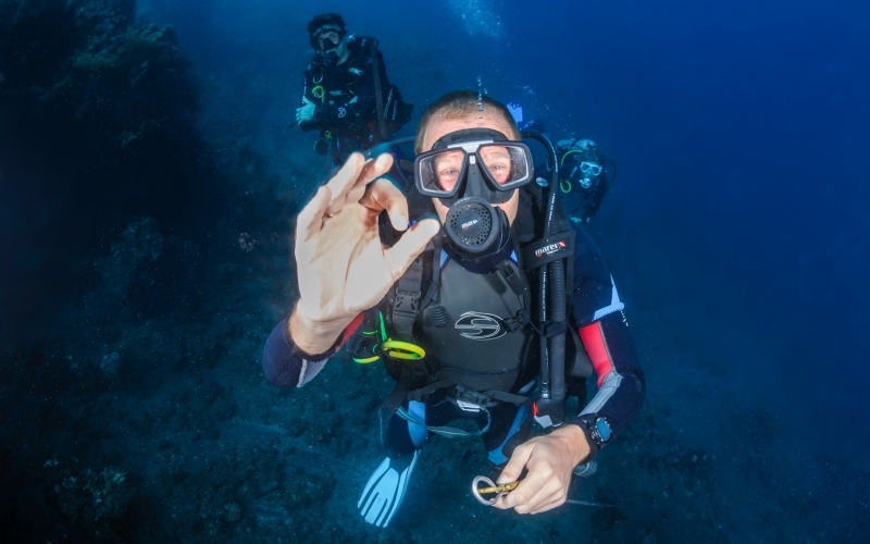 Padi Courses